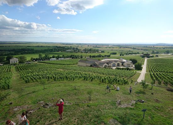 hungary/tokaj-wine-region/landmark/tokaj-disznoko-vineyards-and-winery-plc