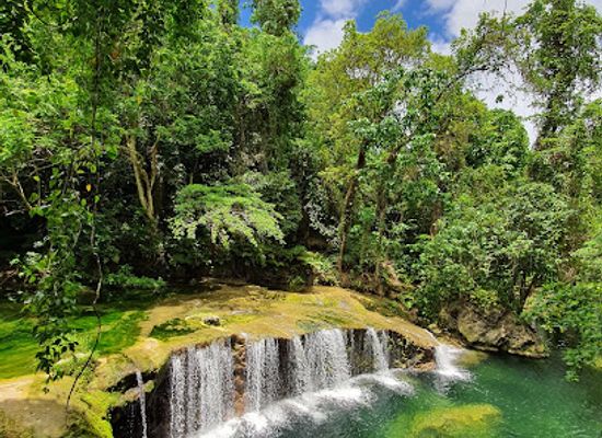 vanuatu/torba/landmark/eden-on-the-river