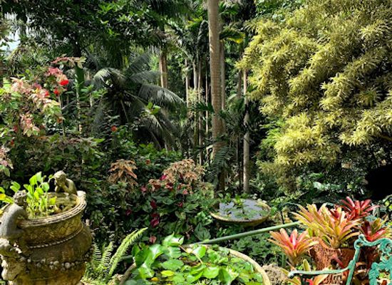 barbados/bathsheba/landmark/hunte-s-gardens