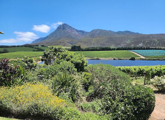 south-africa/overberg/landmark/wine-hoppers