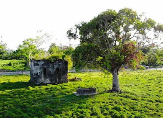 puerto-rico/san-juan-metropolitan-area/landmark/ruinas-de-carolina