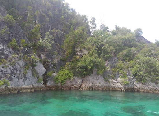 indonesia/raja-ampat/landmark/pantai-saleo