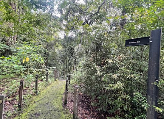 singapore/ang-mo-kio/landmark/rambutan-trail
