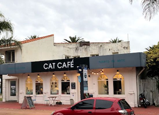 uruguay/punta-del-este/landmark/adrianuzca-s-cat-cafe