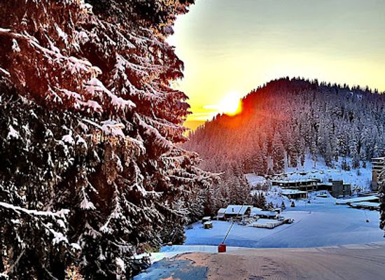 bulgaria/pamporovo/landmark/ski-uchilishte-restart-pamporovo