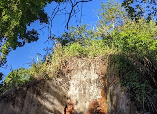 puerto-rico/yunque-national-forest/landmark/hacienda-la-esperanza-para-la-naturaleza