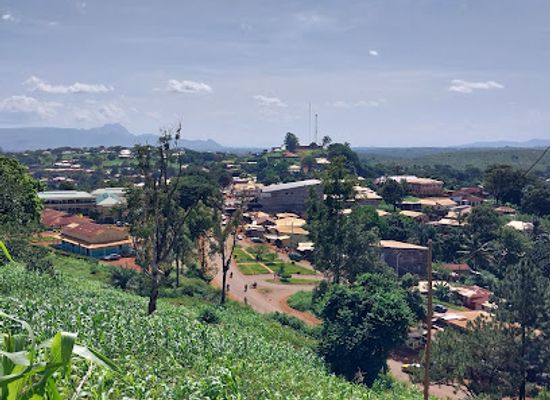 cameroon/grassfield-region/landmark/porte-d-entree-foumban