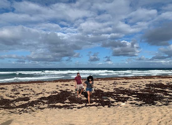 barbados/saint-andrew/landmark/morgan-lewis-beach