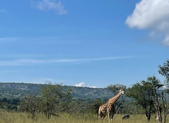 rwanda/akagera-national-park/landmark/legendary-tours-and-travel-rwanda