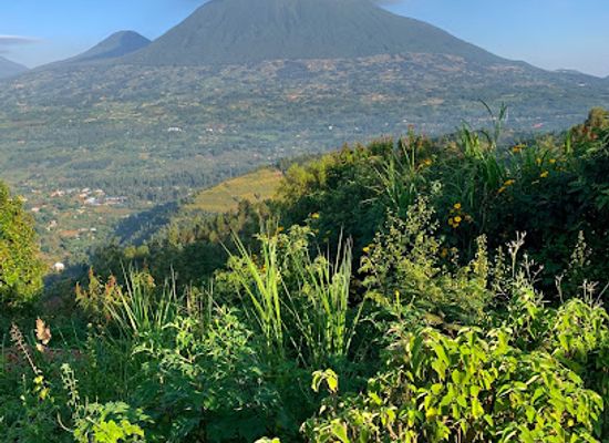 rwanda/northern-province/landmark/muhavura-volcano