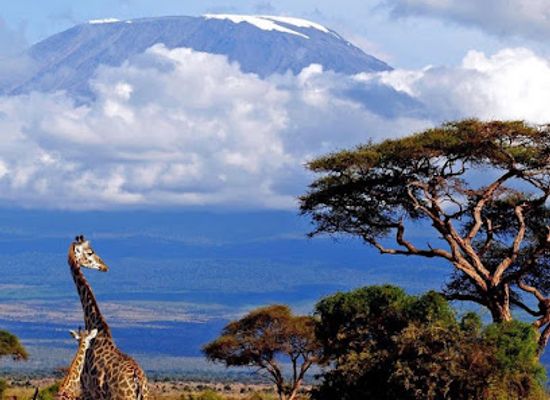 tanzania/arusha/landmark/african-foot-adventure-arusha