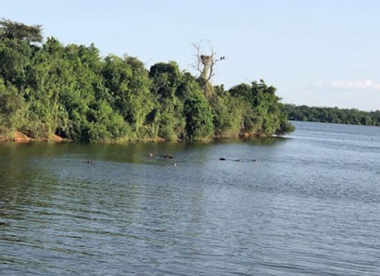uganda/masaka/landmark/lake-mburo-national-park