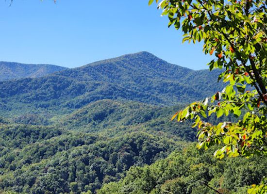 north-carolina/great-smoky-mountains/landmark/laurel-falls