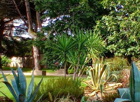 comoros/ouani/landmark/hotel-le-refuge-kpark