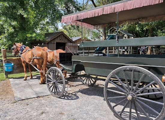 pennsylvania/amish-country/landmark/abe-s-buggy-rides