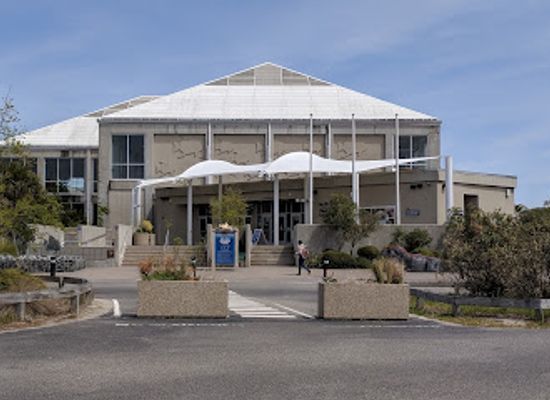 north-carolina/cape-fear-coast/landmark/north-carolina-aquarium-at-fort-fisher