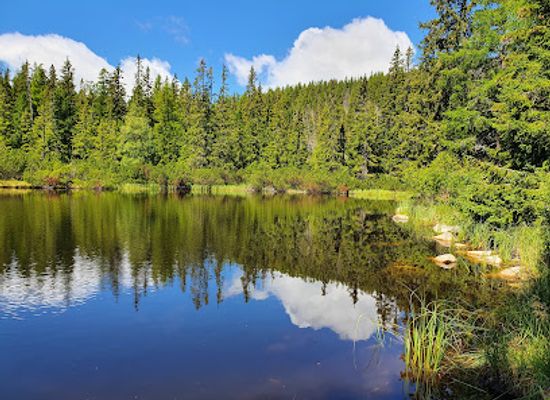 slovakia/strbske-pleso/landmark/jamske-tarn