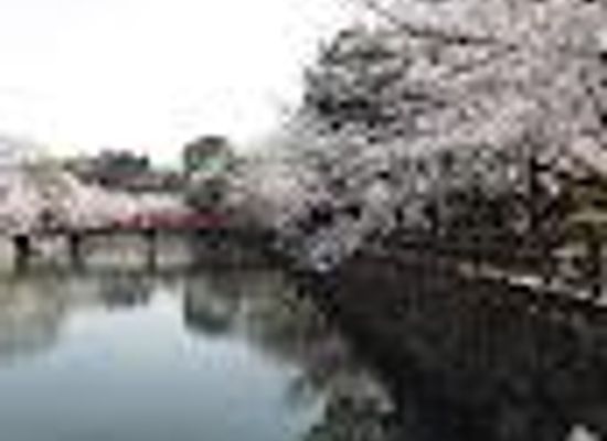 japan/harima/landmark/shiromi-bridge