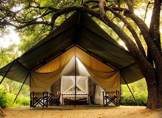 sri-lanka/yala-national-park/landmark/yala-safari-camping