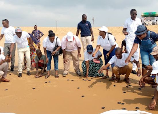 benin/cotonou/akpakpa/landmark/nature-tropicale-ong