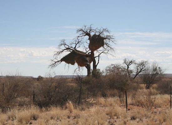 south-africa/namaqualand/landmark/augrabiesvalle