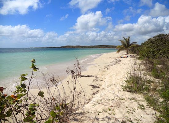 puerto-rico/vieques-island/landmark/playa-la-chiva