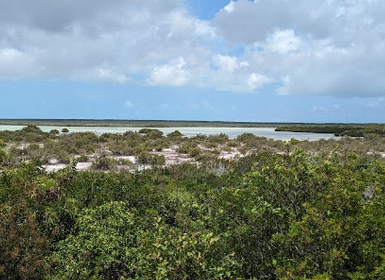 turks-and-caicos-islands/north-caicos/landmark/flamingo-pond-overlook