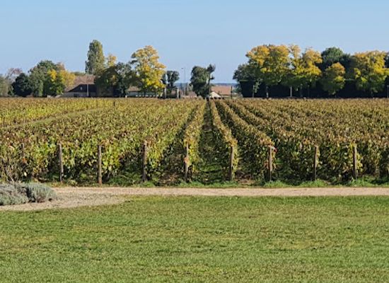 france/burgundy-vineyards/landmark/chateau-de-meursault