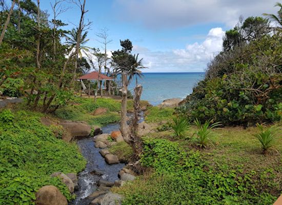 dominica/saint-mark/landmark/kalinago-barana-aute