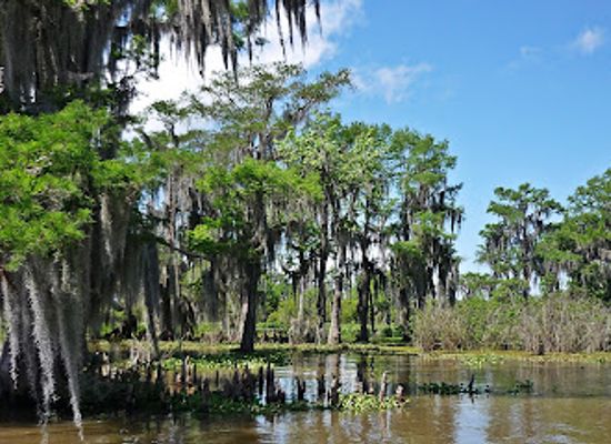 louisiana/atchafalaya-national-heritage-area/landmark/atchafalaya-basin