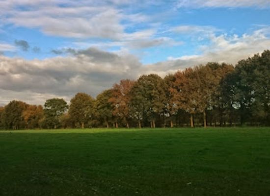netherlands/gooi/landmark/de-korte-duinen