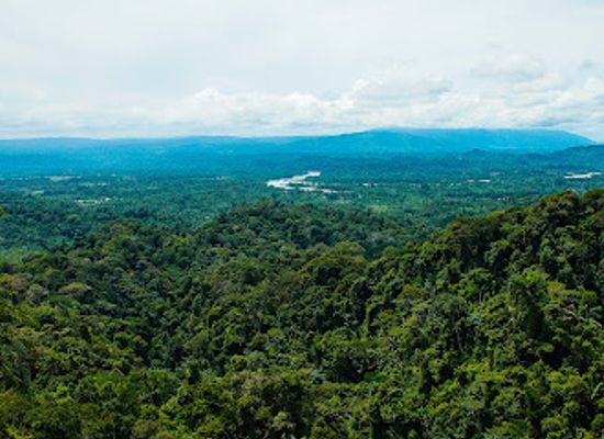 ecuador/oriente/landmark/jungle-expeditions-lodge-tours