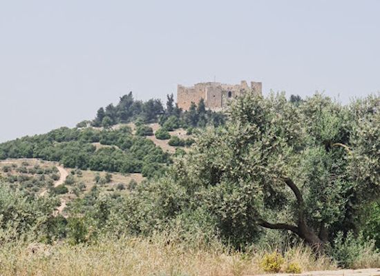 jordan/ajloun-forest-reserve/landmark/ajloun-castle