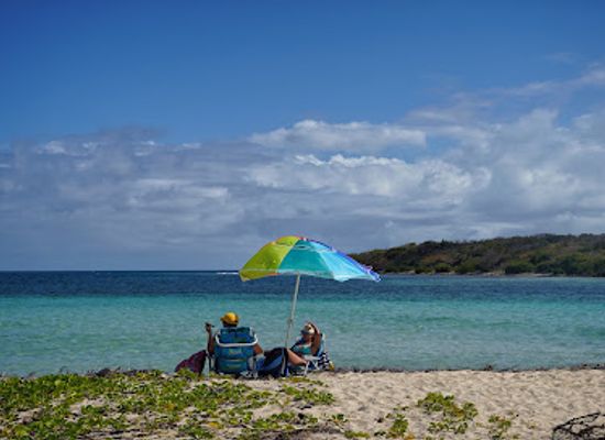 puerto-rico/vieques-island/landmark/finca-victoria-vieques