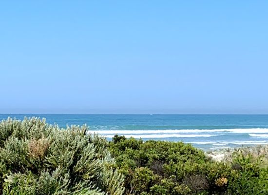 australia/limestone-coast/landmark/piccaninnie-ponds-conservation-park