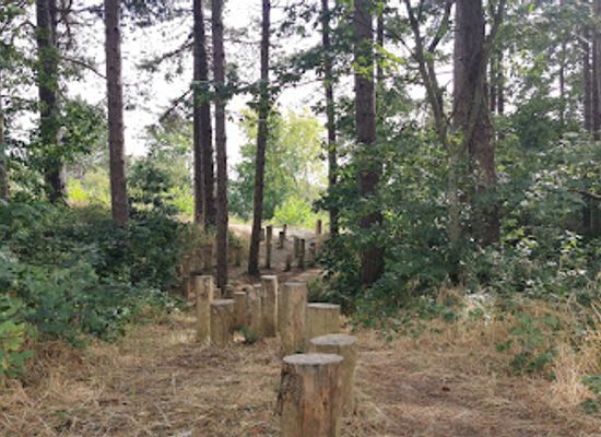 belgium/de-haan/landmark/de-duinbossen-van-de-haan-deelgemeente-klemskerke
