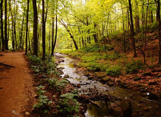 wisconsin/ice-age-trail/landmark/parfrey-s-glen-state-natural-area