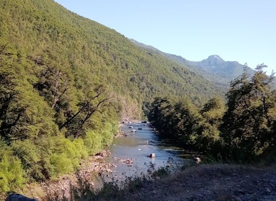 chile/biobio-region/landmark/comunidad-de-pitril-sendero-de-la-cosmovision-pewenche
