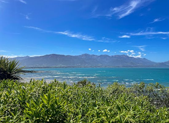 new-zealand/marlborough/landmark/kaikoura-seal-colony
