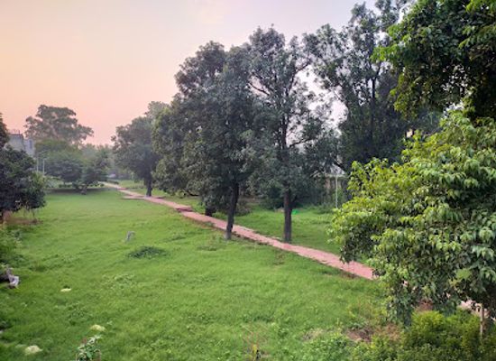 india/jammu/gandhi-nagar/landmark/mango-grove-park
