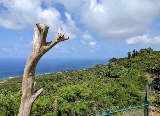 barbados/cherry-tree-hill/landmark/hackletons-cliff