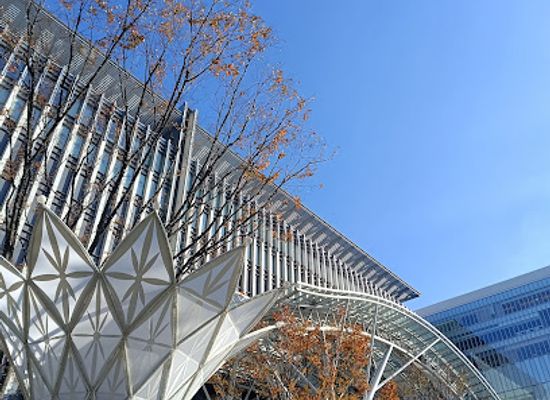 japan/fukuoka/landmark/golden-frog-of-hakata-station