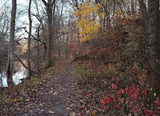 delaware/white-clay-creek-state-park/landmark/white-clay-creek-state-park-chambers-rock-parking-area