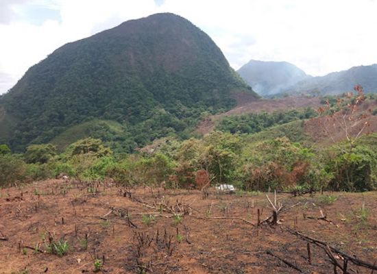 panama/ngabe-bugle-comarca/landmark/cerro-madera