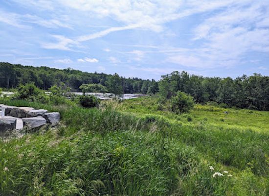 massachusetts/wachusett-mountain-ski-area/landmark/mass-audubon-s-wachusett-meadow-wildlife-sanctuary