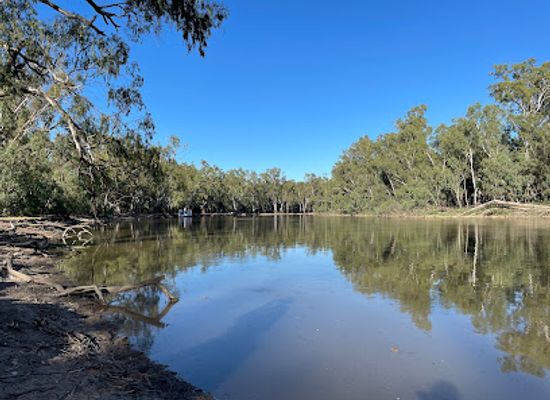australia/murray-region/landmark/barmah-national-park