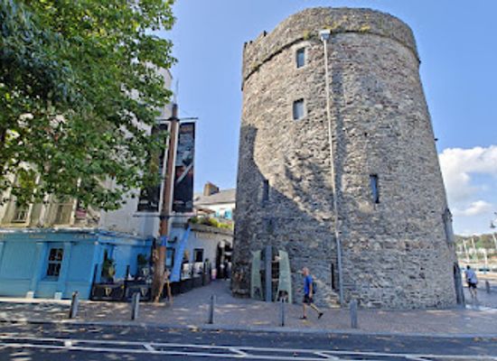 ireland/county-waterford/landmark/viking-triangle-display