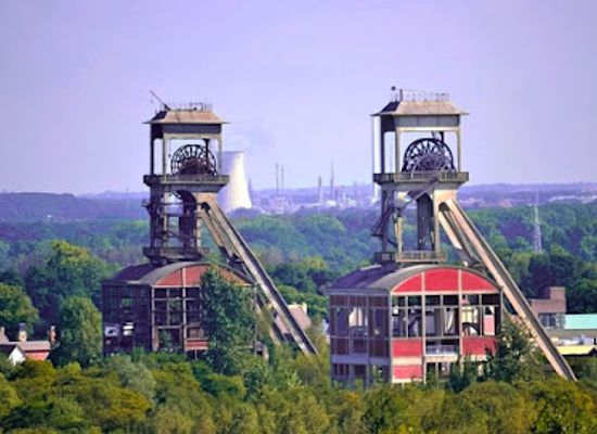 belgium/campine-kempen/landmark/national-park-hoge-kempen
