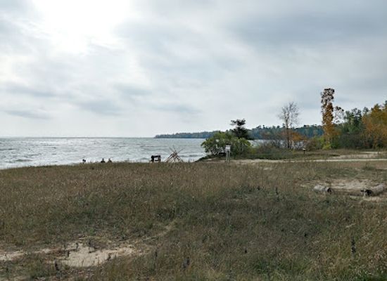michigan/northern-michigan/landmark/michigan-legacy-art-park