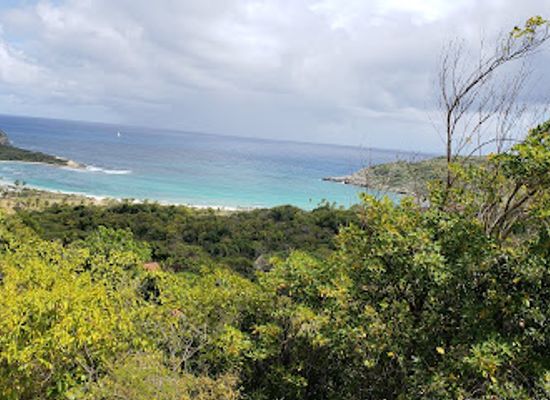antigua-and-barbuda/half-moon-bay/landmark/smiling-harry-s-thirst-quencher